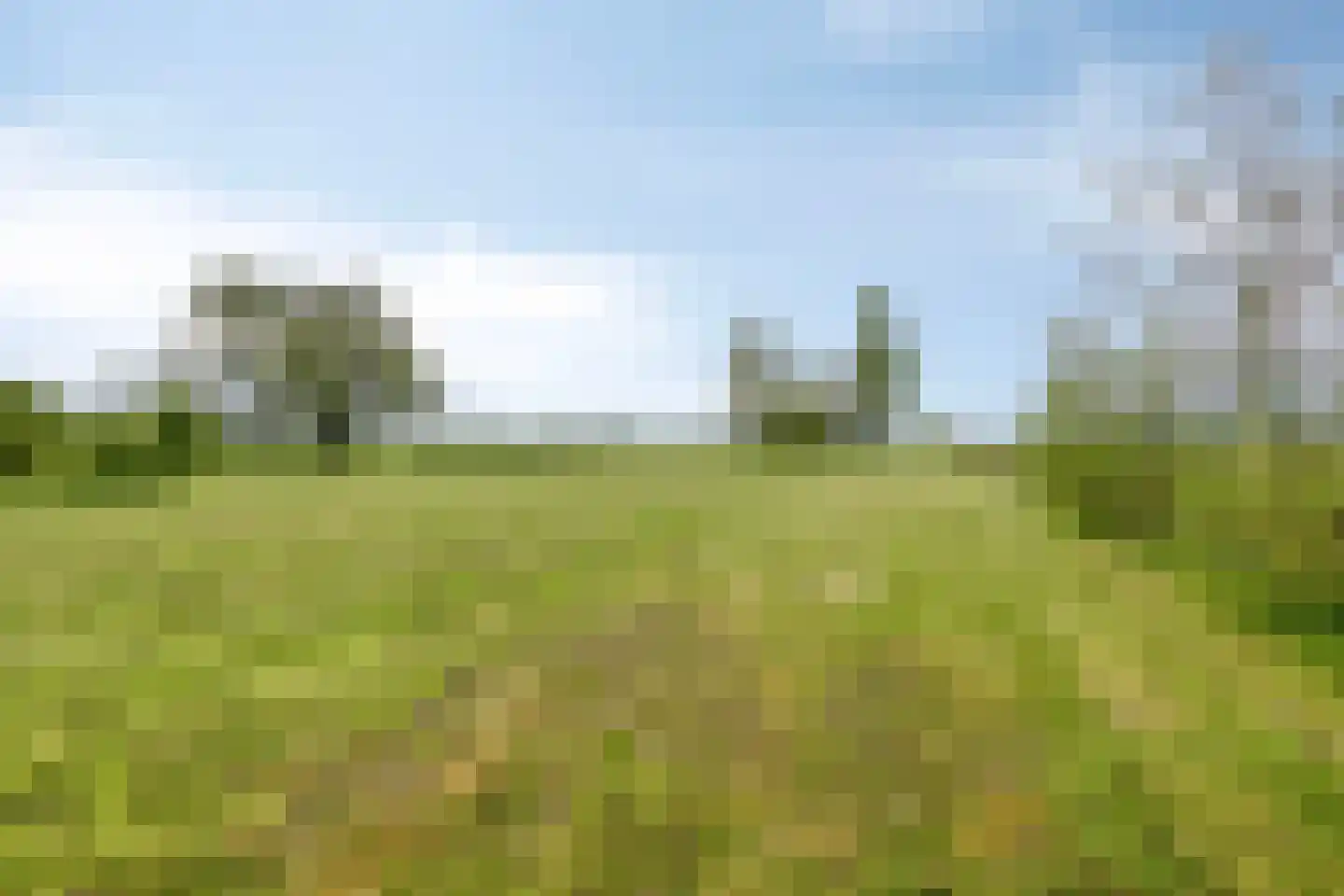 Aengwirderweg 180 Luinjeberd thumbnail 53