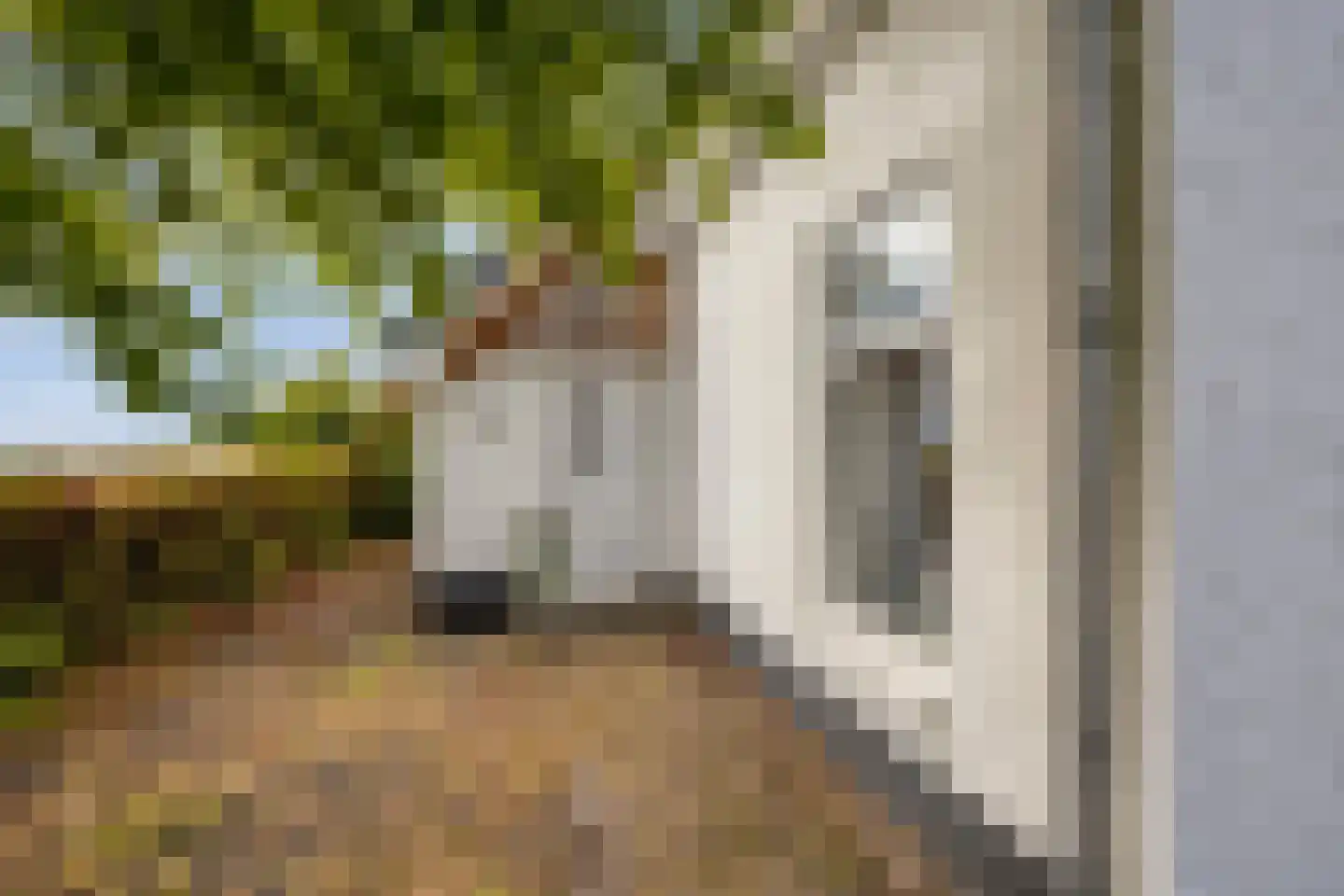 Aengwirderweg 180 Luinjeberd thumbnail 6