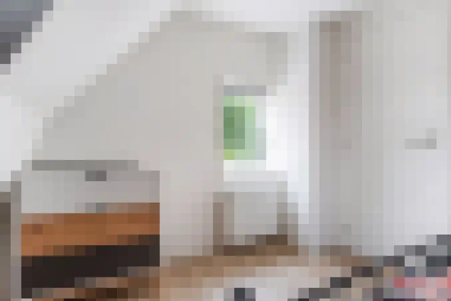 Aengwirderweg 201 Luinjeberd thumbnail 28
