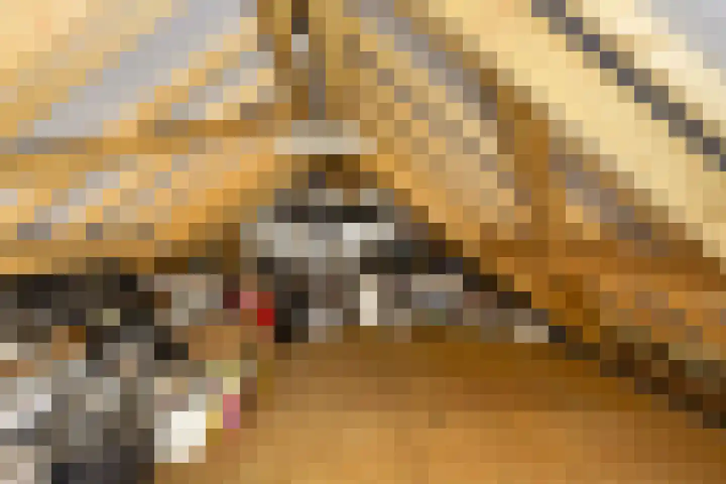 Aengwirderweg 201 Luinjeberd thumbnail 37