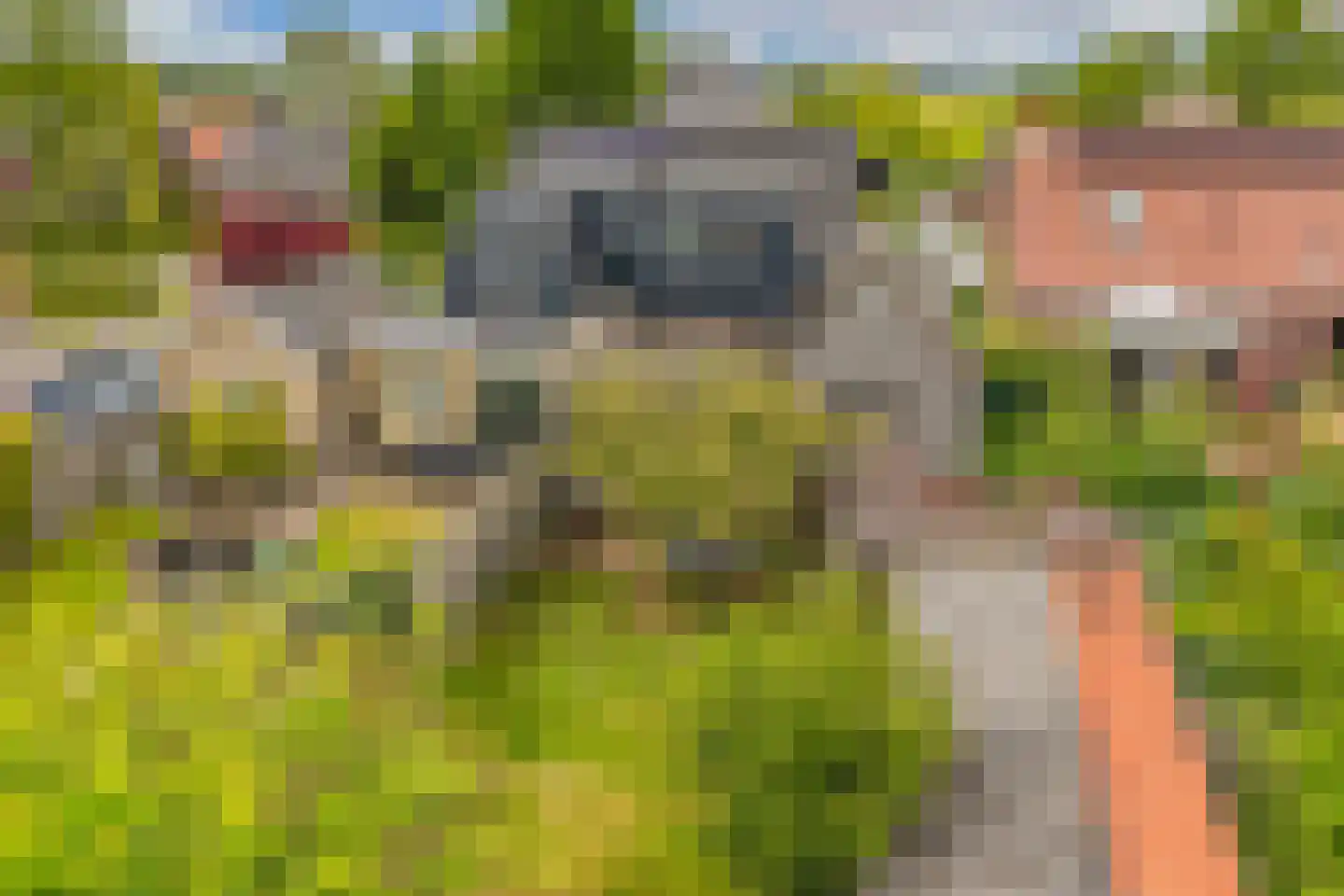 Aengwirderweg 248 Tjalleberd thumbnail 29