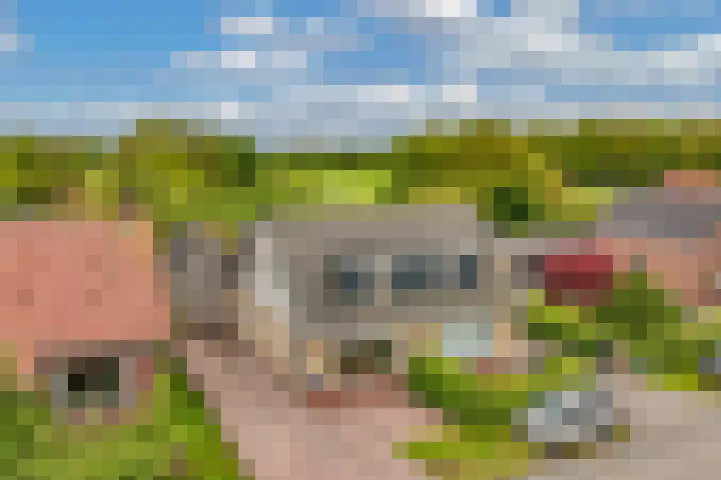 Aengwirderweg 248 Tjalleberd thumbnail 5