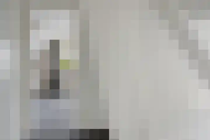 Aengwirderweg 257 Tjalleberd thumbnail 20