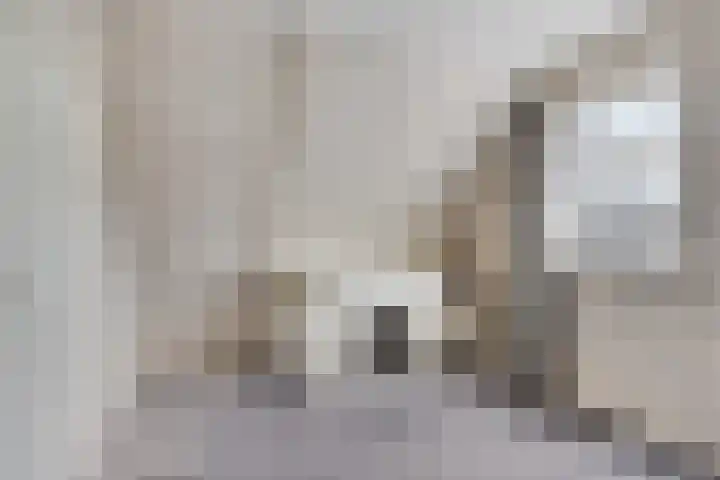 Aengwirderweg 257 Tjalleberd thumbnail 23