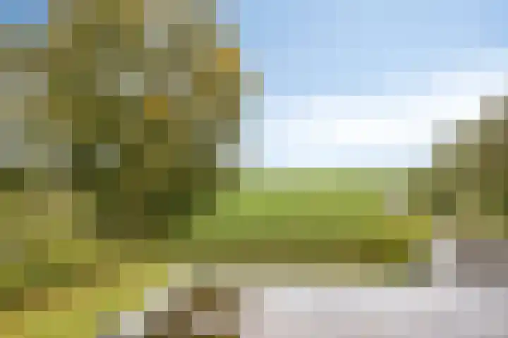 Aengwirderweg 257 Tjalleberd thumbnail 25