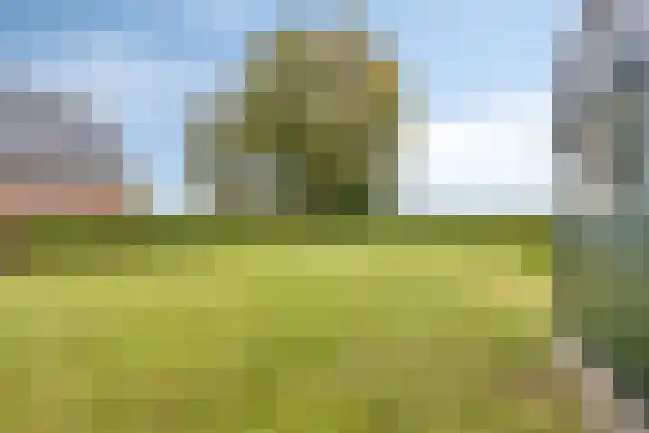 Aengwirderweg 257 Tjalleberd thumbnail 28