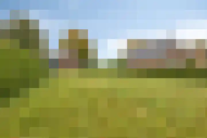 Aengwirderweg 257 Tjalleberd thumbnail 29