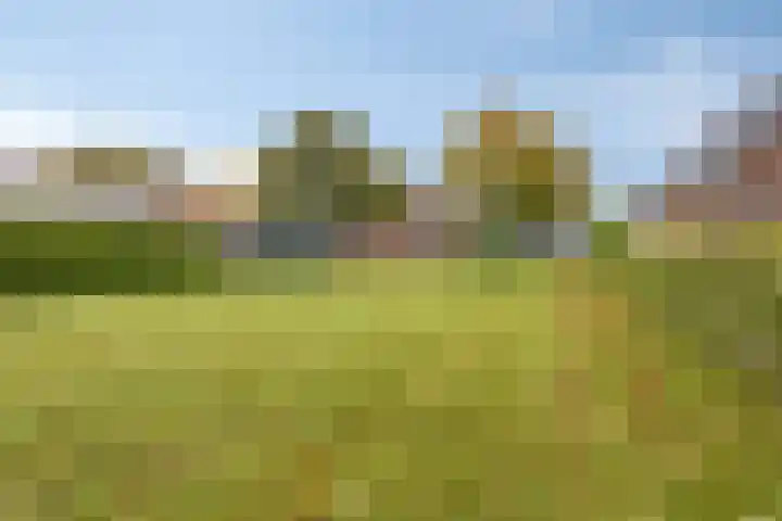 Aengwirderweg 257 Tjalleberd thumbnail 30