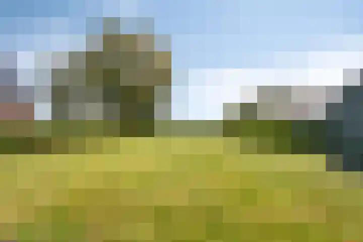 Aengwirderweg 257 Tjalleberd thumbnail 4