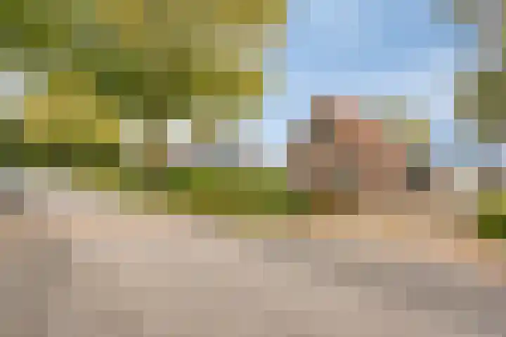 Aengwirderweg 257 Tjalleberd thumbnail 6
