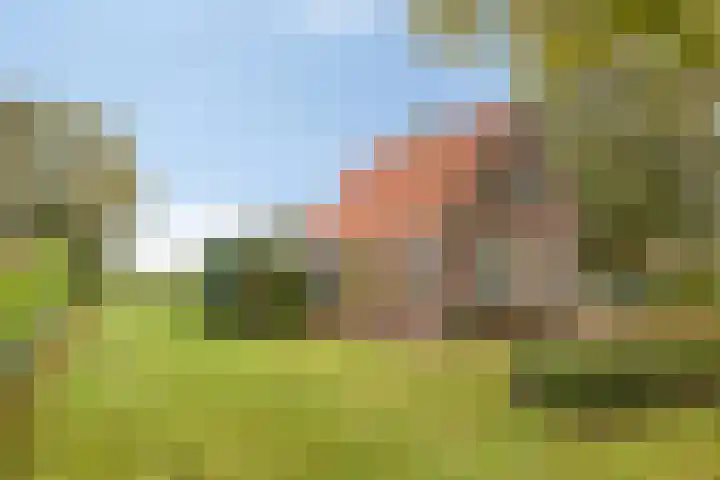 Aengwirderweg 257 Tjalleberd thumbnail 7