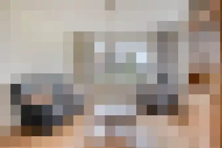 Aengwirderweg 257 Tjalleberd thumbnail 9