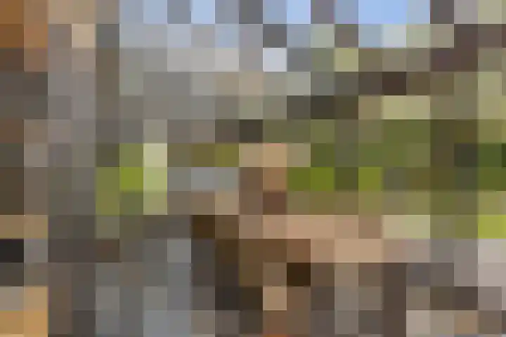 Aengwirderweg 290 Tjalleberd thumbnail 12