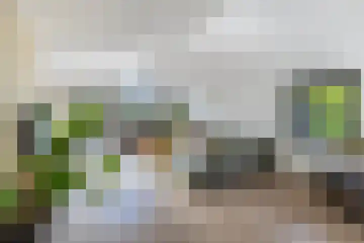 Aengwirderweg 290 Tjalleberd thumbnail 13