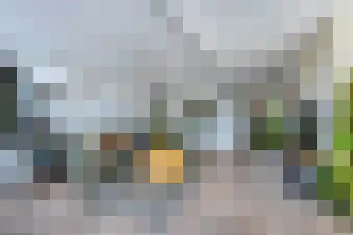 Aengwirderweg 290 Tjalleberd thumbnail 16