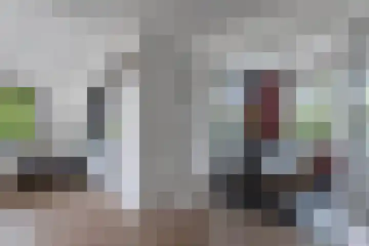 Aengwirderweg 290 Tjalleberd thumbnail 17
