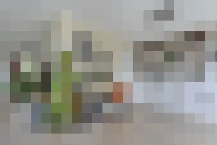 Aengwirderweg 290 Tjalleberd thumbnail 23