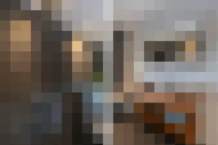 Aengwirderweg 290 Tjalleberd thumbnail 27