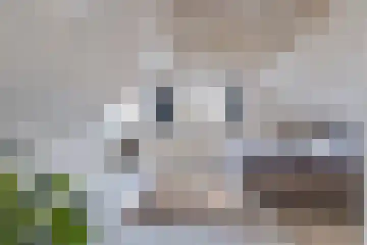 Aengwirderweg 290 Tjalleberd thumbnail 30