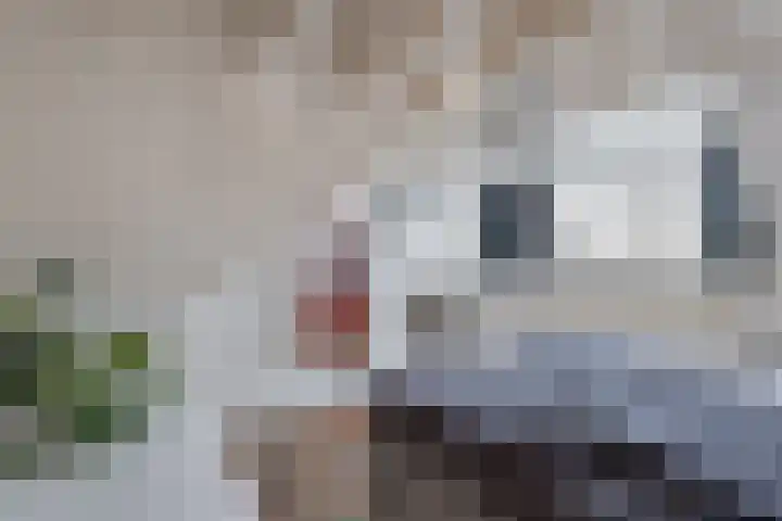 Aengwirderweg 290 Tjalleberd thumbnail 32