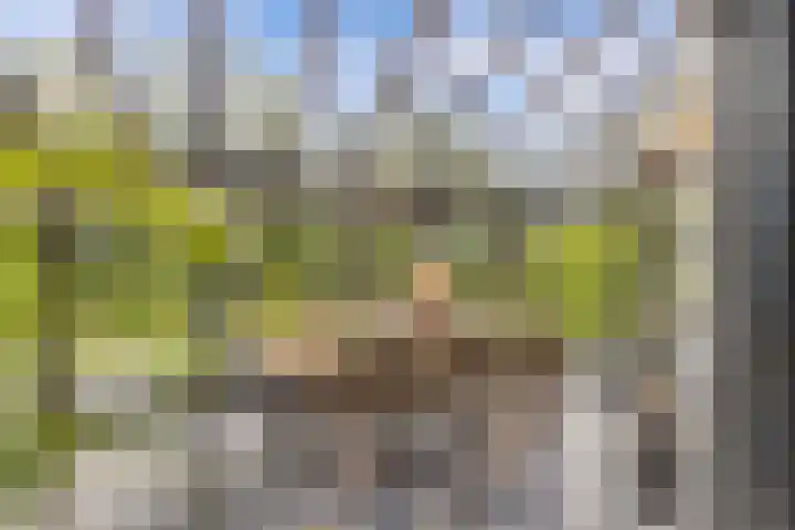 Aengwirderweg 290 Tjalleberd thumbnail 39