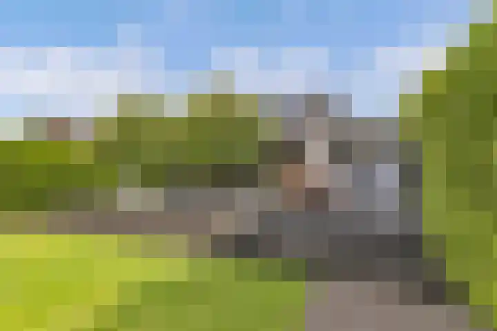 Aengwirderweg 290 Tjalleberd thumbnail 4