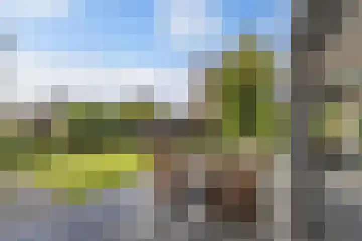 Aengwirderweg 290 Tjalleberd thumbnail 41