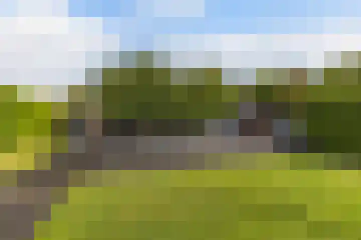 Aengwirderweg 290 Tjalleberd thumbnail 42