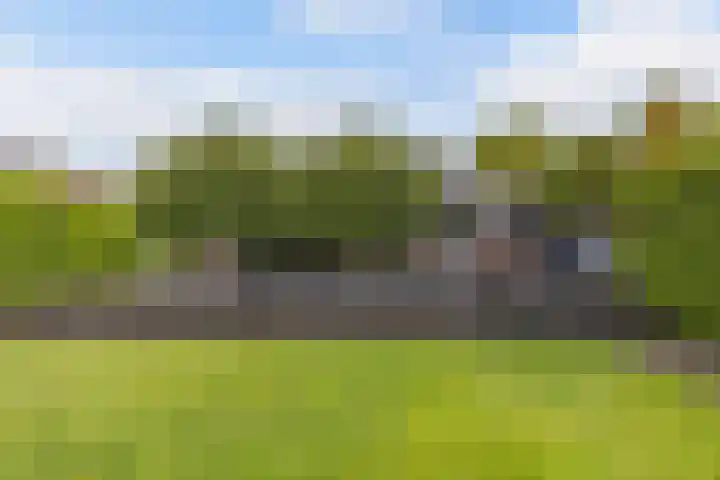 Aengwirderweg 290 Tjalleberd thumbnail 43