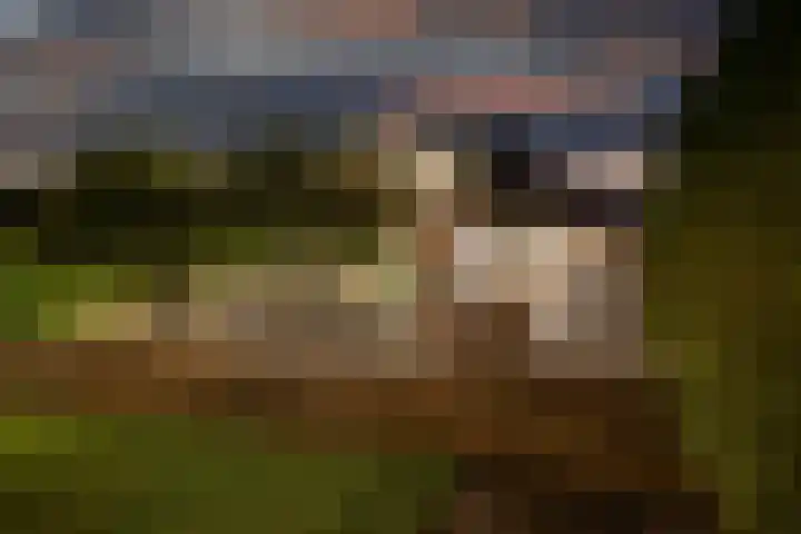 Aengwirderweg 290 Tjalleberd thumbnail 44