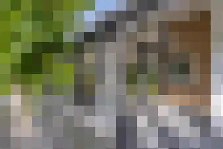 Aengwirderweg 290 Tjalleberd thumbnail 45