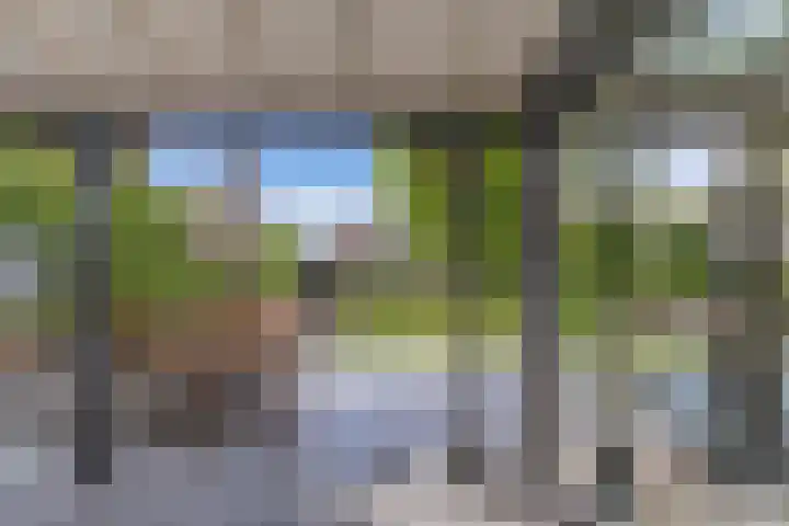 Aengwirderweg 290 Tjalleberd thumbnail 47