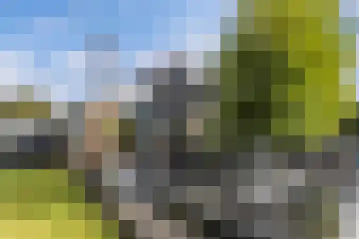 Aengwirderweg 290 Tjalleberd thumbnail 48