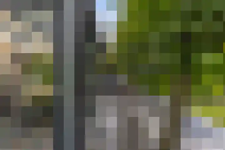 Aengwirderweg 290 Tjalleberd thumbnail 50