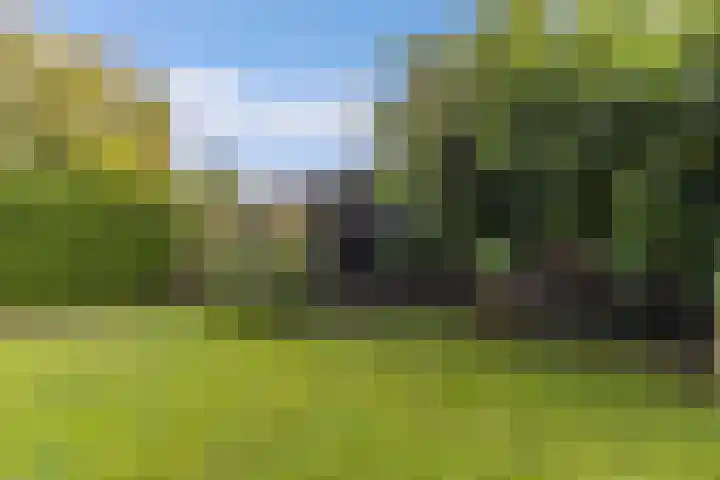 Aengwirderweg 290 Tjalleberd thumbnail 52