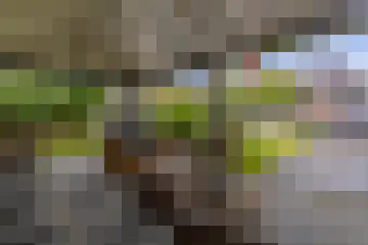 Aengwirderweg 290 Tjalleberd thumbnail 55