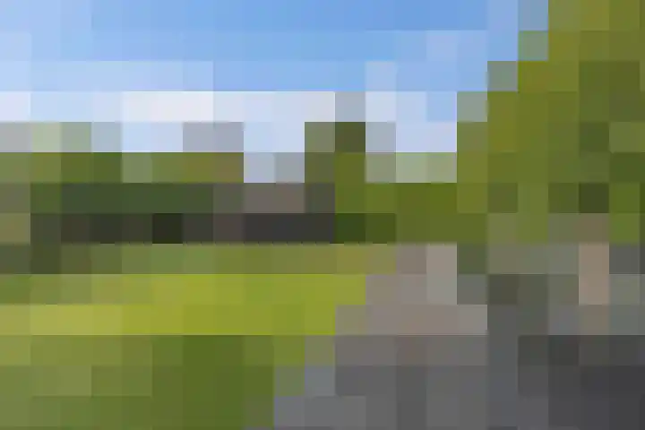 Aengwirderweg 290 Tjalleberd thumbnail 58