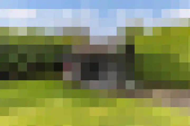 Aengwirderweg 290 Tjalleberd thumbnail 59