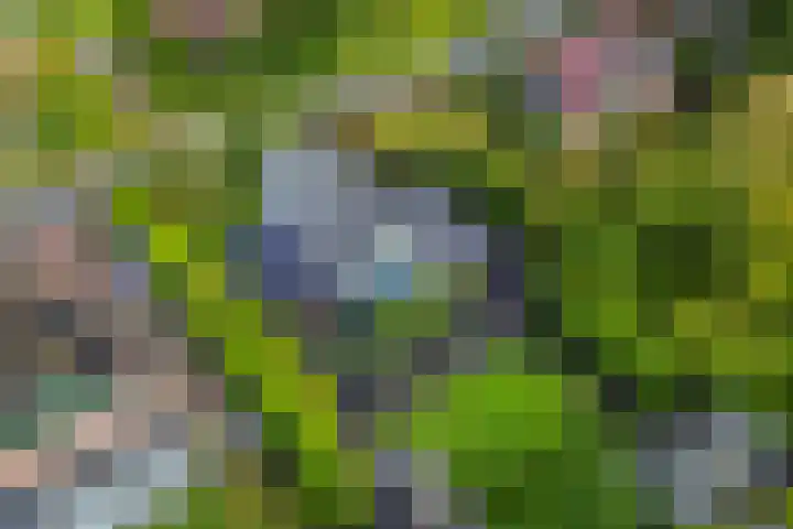 Aengwirderweg 290 Tjalleberd thumbnail 61
