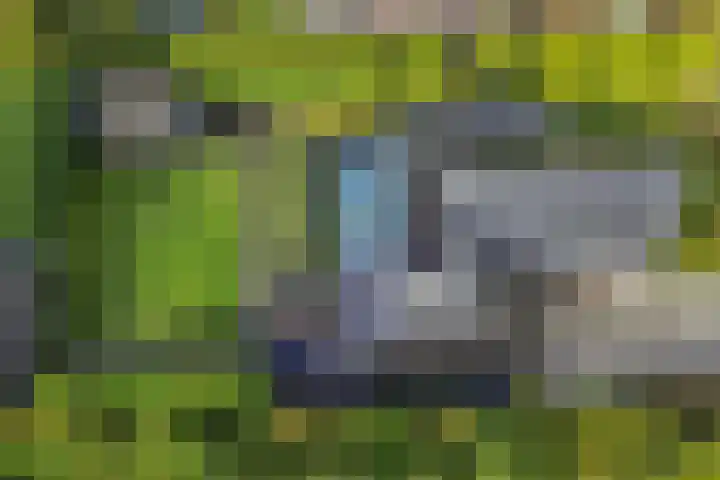 Aengwirderweg 290 Tjalleberd thumbnail 63