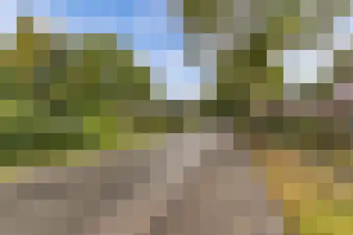 Aengwirderweg 290 Tjalleberd thumbnail 64