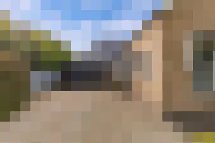 Aengwirderweg 290 Tjalleberd thumbnail 65