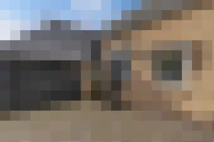 Aengwirderweg 290 Tjalleberd thumbnail 66