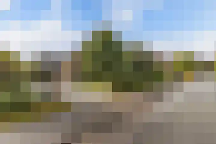 Aengwirderweg 290 Tjalleberd thumbnail 69