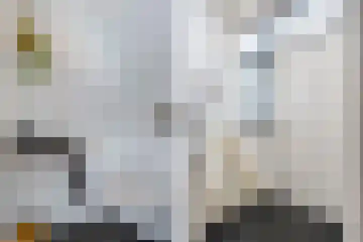 Aengwirderweg 290 Tjalleberd thumbnail 7
