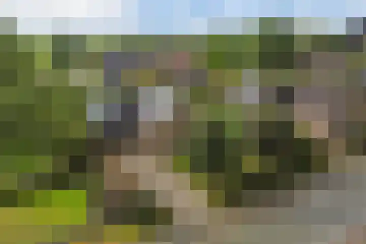 Aengwirderweg 290 Tjalleberd thumbnail 70