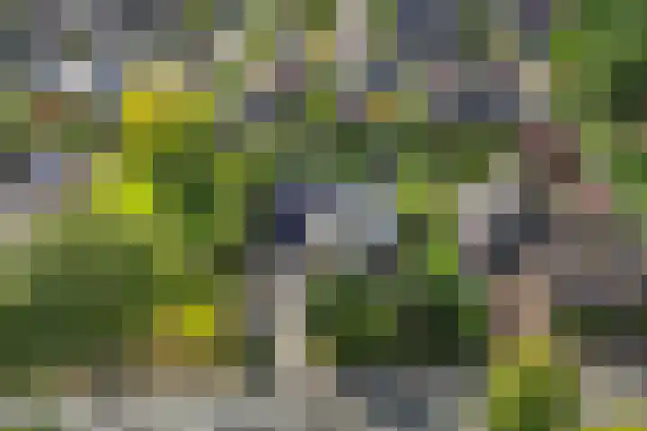 Aengwirderweg 290 Tjalleberd thumbnail 72
