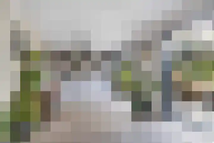 Aengwirderweg 290 Tjalleberd thumbnail 9