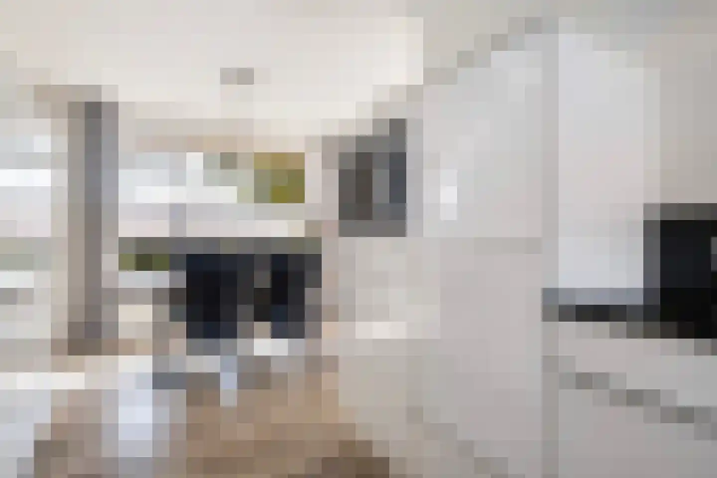 Aengwirderweg 292 Tjalleberd thumbnail 11