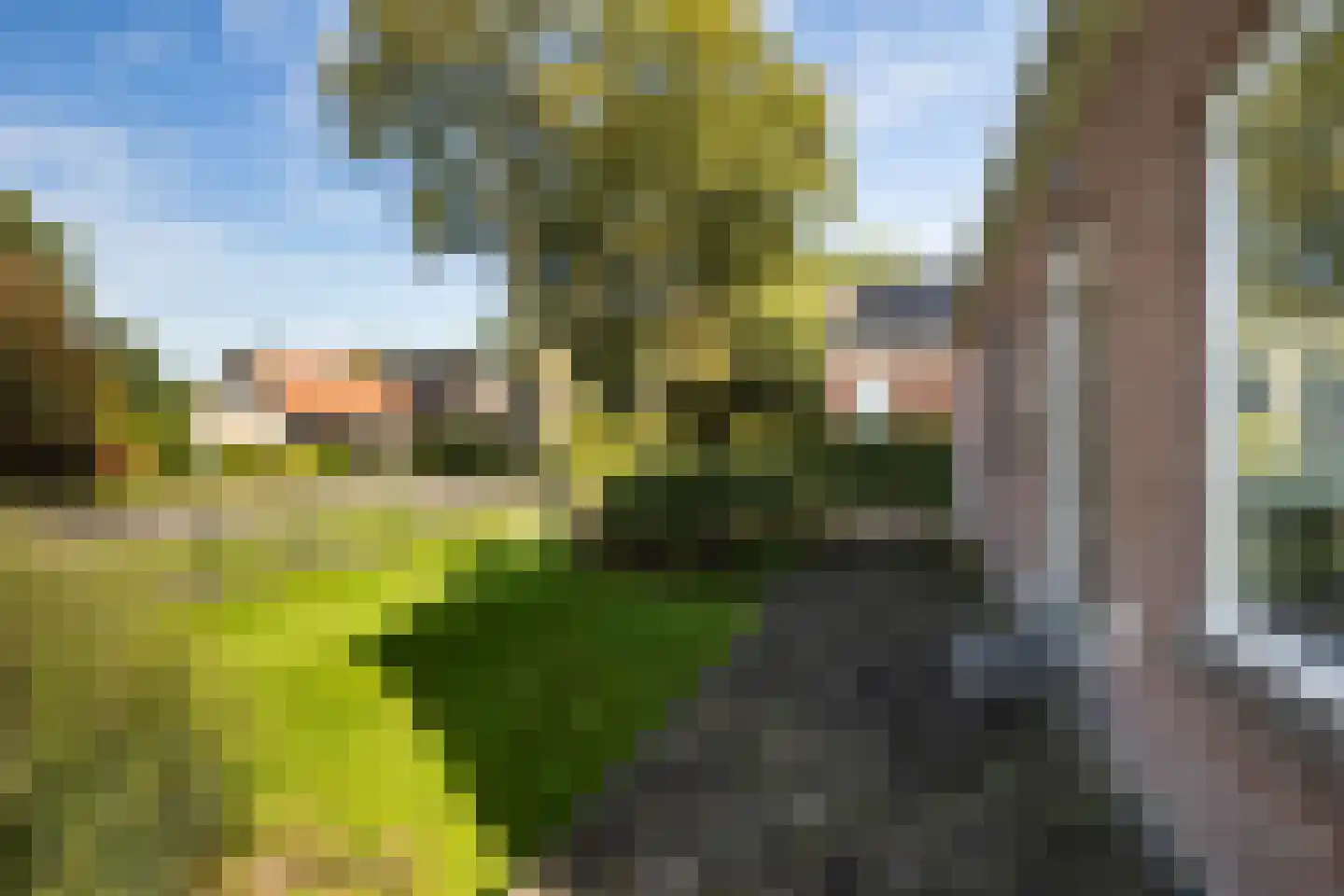 Aengwirderweg 292 Tjalleberd thumbnail 36